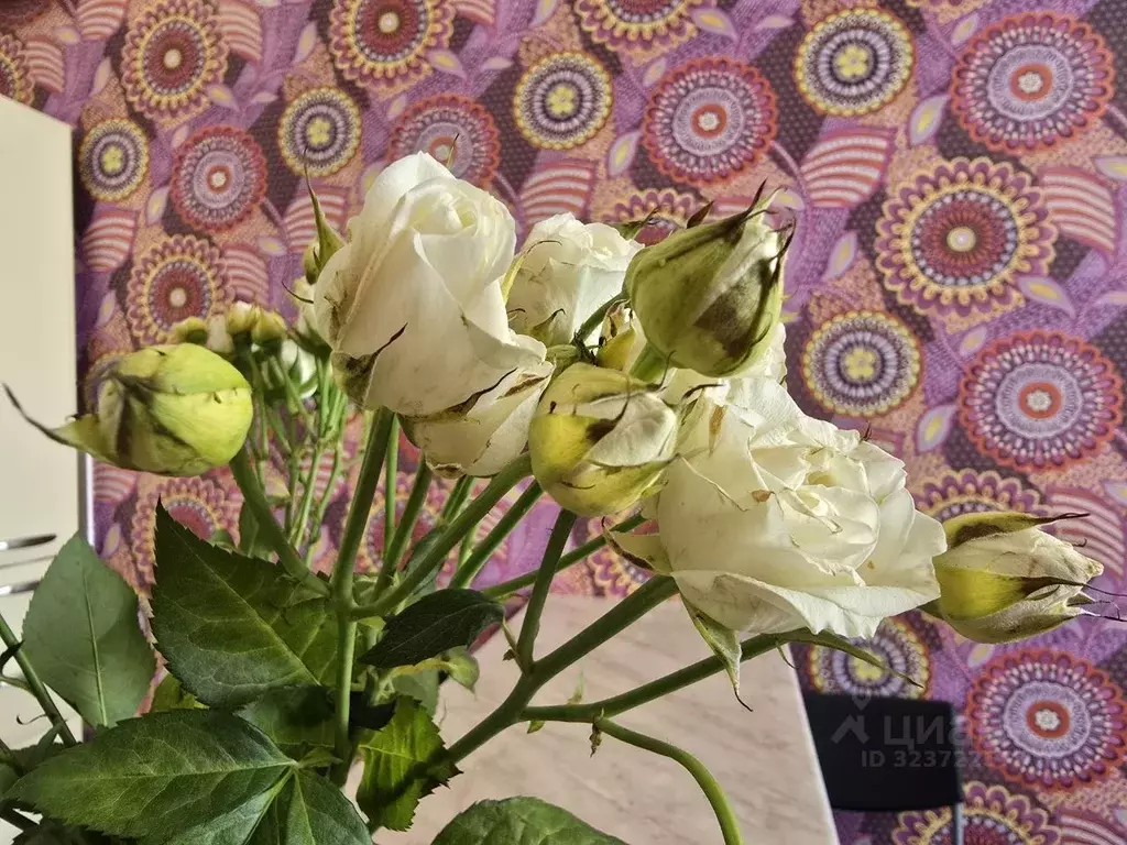 2-к кв. Иркутская область, Иркутск Дальневосточная ул., 144 (46.2 м) - Фото 1