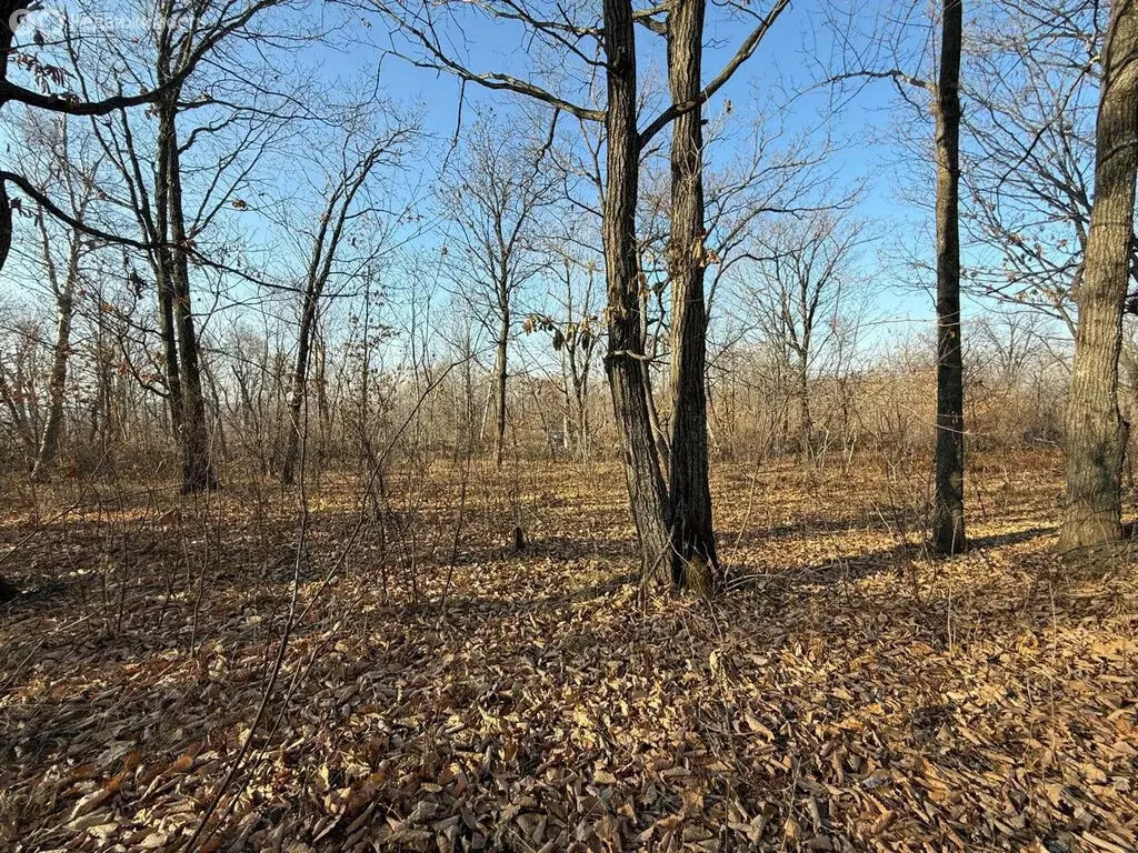 Участок в Артём, СТ Глобус-1 (10 м) - Фото 2