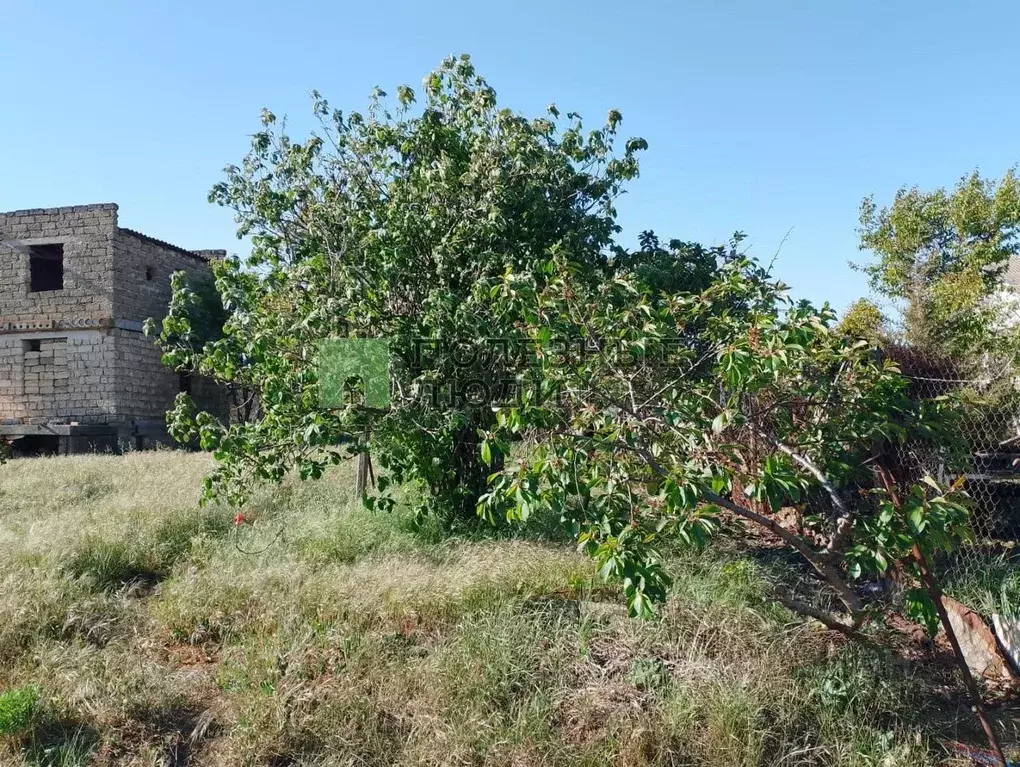 Участок в Крым, Сакский район, Суворовское с/пос, Изобильное СНТ ул. ... - Фото 2