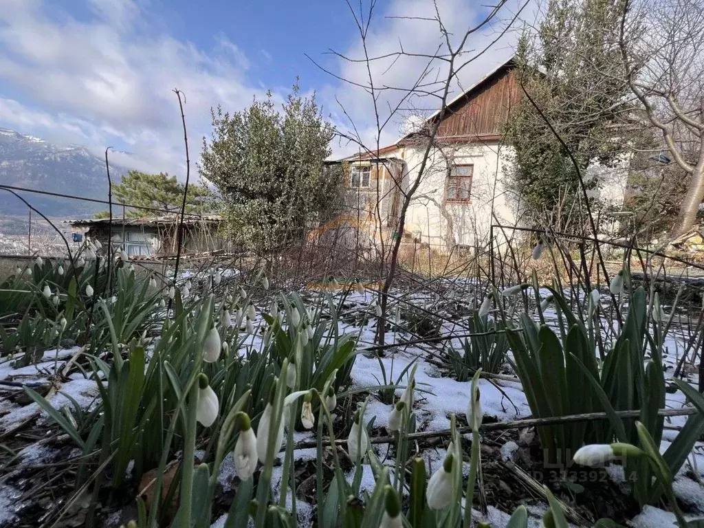 Участок в Крым, Ялта городской округ, Массандра пгт ул. Стахановская, ... - Фото 0