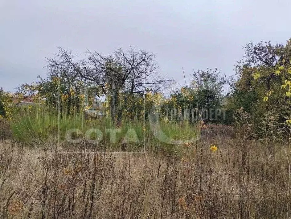 Участок в Воронежская область, Семилуки Лесная ул. (38.0 сот.) - Фото 1