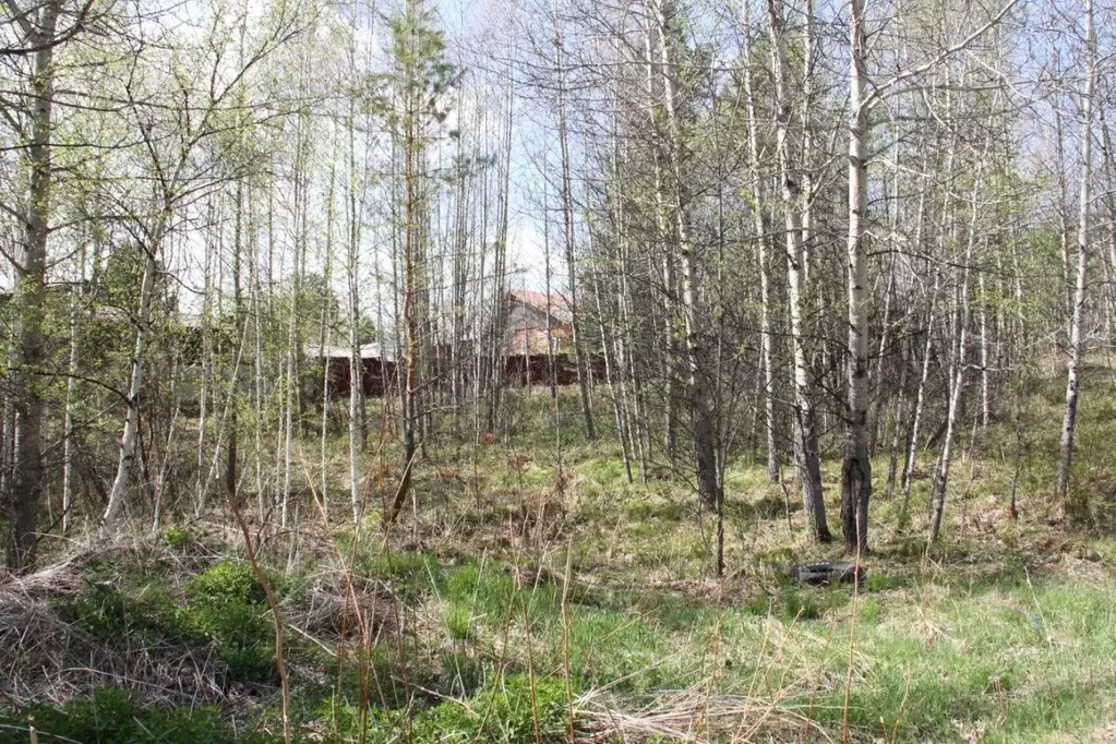 Участок в Иркутская область, Иркутский муниципальный округ, Минерал ... - Фото 1