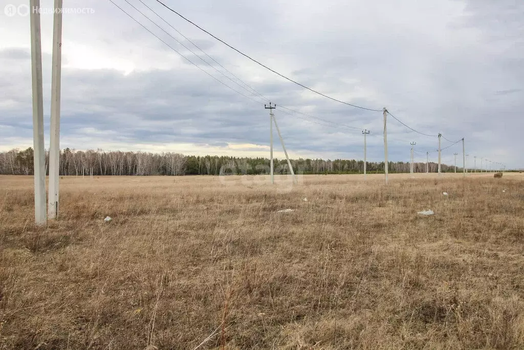 Участок в село Фирсово, Рябиновая улица, 1 (10.7 м) - Фото 0