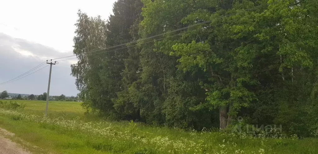 Участок в Московская область, Дмитровский муниципальный округ, д. ... - Фото 2