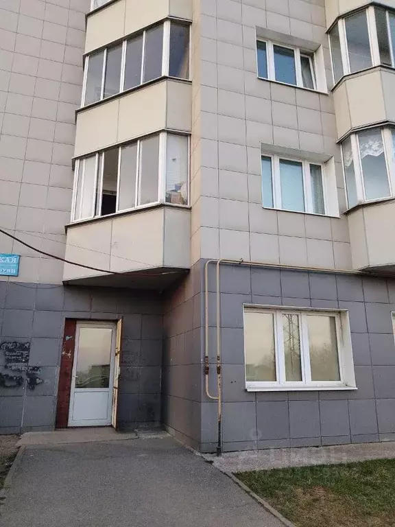 Торговая площадь в Ленинградская область, Колтуши Всеволожский район, ... - Фото 1