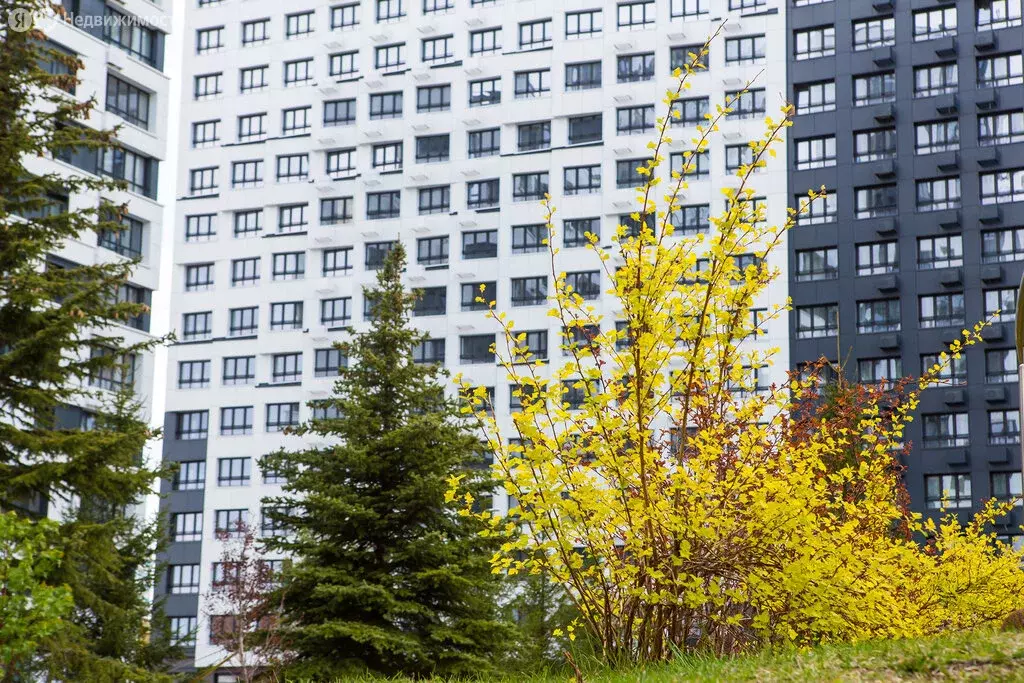 1-комнатная квартира: Уфа, улица Пархоменко, 156Г (34.4 м) - Фото 1