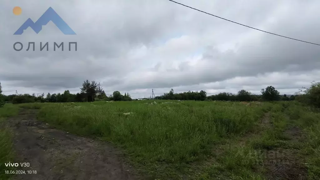 Участок в Вологодская область, Сокольский муниципальный округ, ... - Фото 1