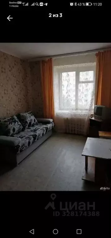 Комната Курганская область, Курган просп. Конституции, 71 (12.0 м) - Фото 2