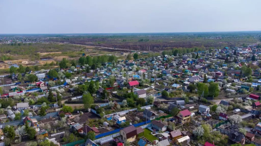 Участок в Тюменская область, Тюмень Ягодное СНТ, ул. Ягодная, 263 ... - Фото 1
