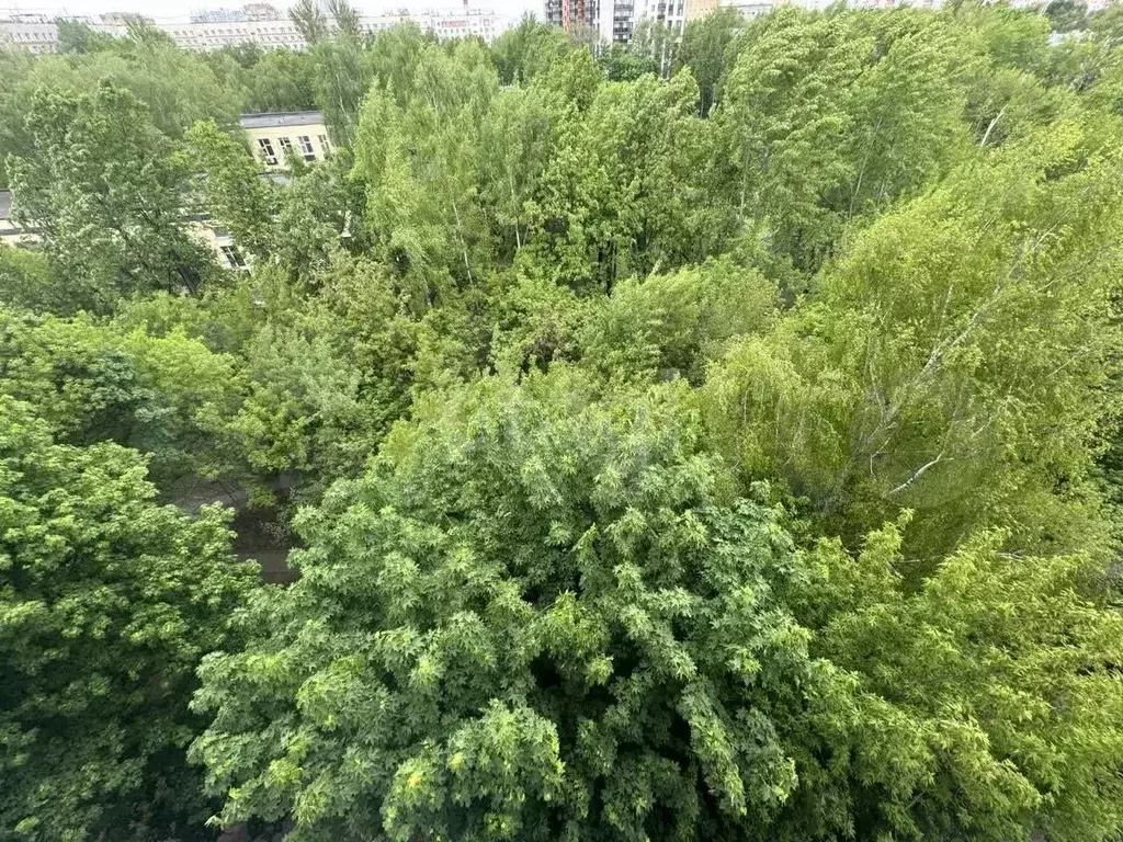 3-к. квартира, 60,2 м, 9/9 эт. - Фото 1