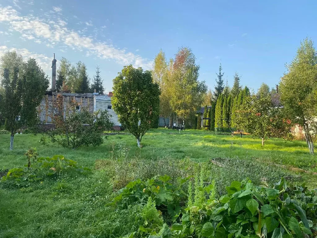 Продается участок в д. Руднево - Фото 1