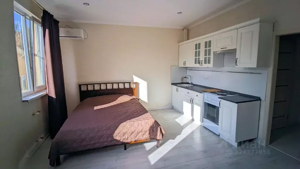 Студия Краснодарский край, Сочи ул. Ручей Видный, 61 (29.0 м) - Фото 2