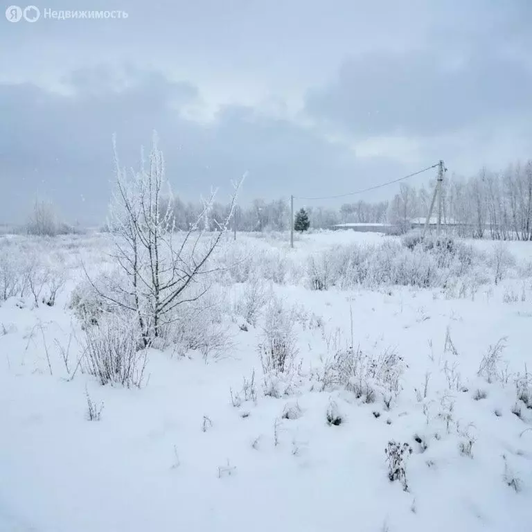 Участок в Донской, микрорайон Задонье, Трудовая улица (15 м) - Фото 2