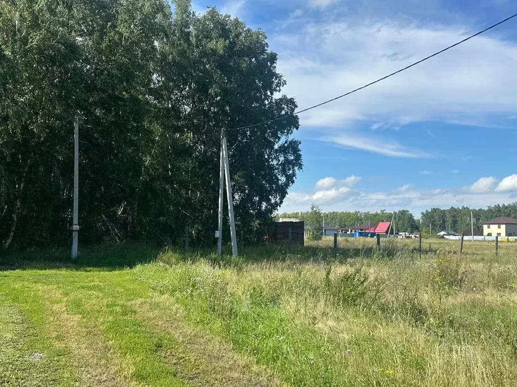 Участок в Омская область, Омский район, с. Усть-Заостровка  (12.87 ... - Фото 1