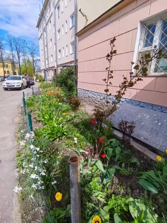 2-к кв. Санкт-Петербург пос. Металлострой, Пионерская ул., 4 (64.0 м) - Фото 1