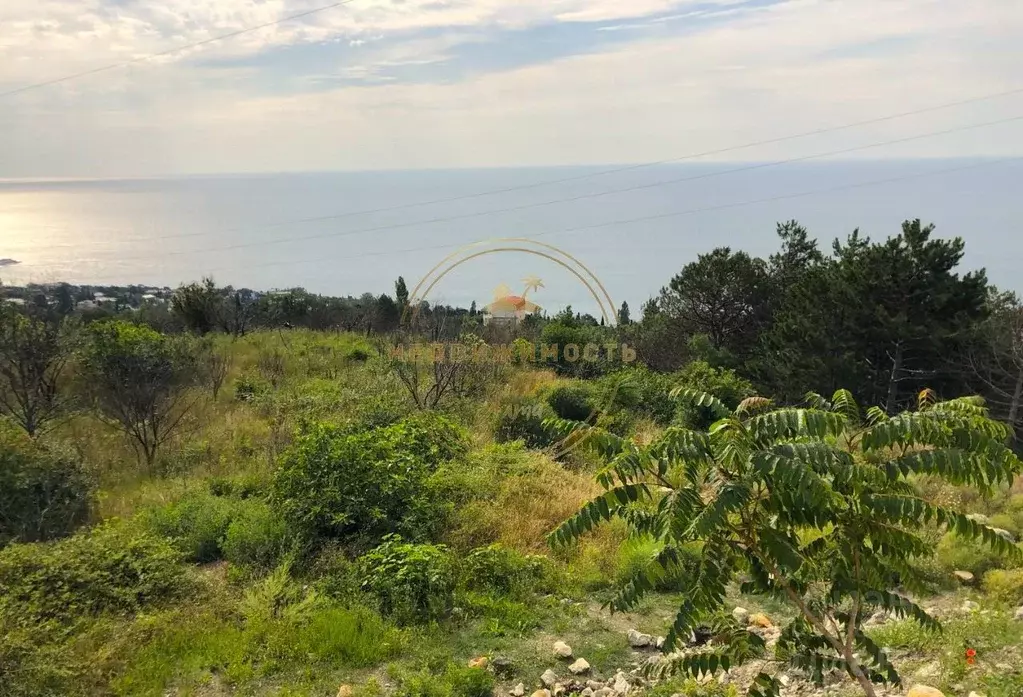 Участок в Крым, Алупка ш. Южнобережное (10.0 сот.) - Фото 2