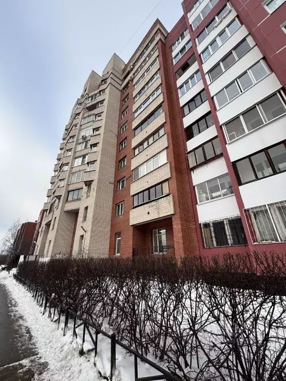 1-к кв. Санкт-Петербург Богатырский просп., 59К1 (44.5 м) - Фото 0