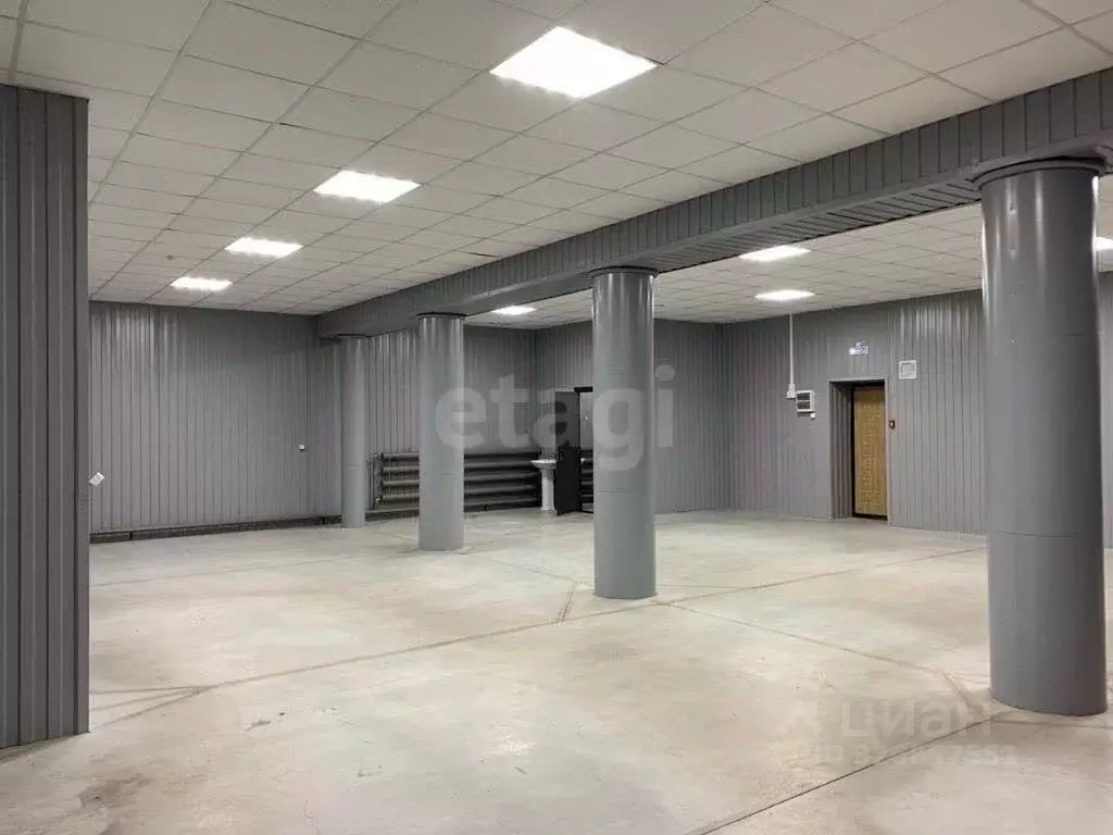 Помещение свободного назначения в Красноярский край, Емельяново пгт ... - Фото 1