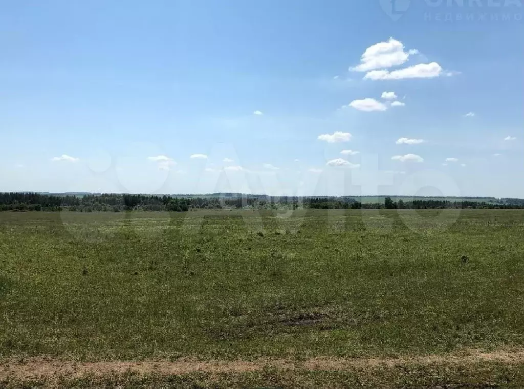 Участок 10 сот. (ИЖС) - Фото 0