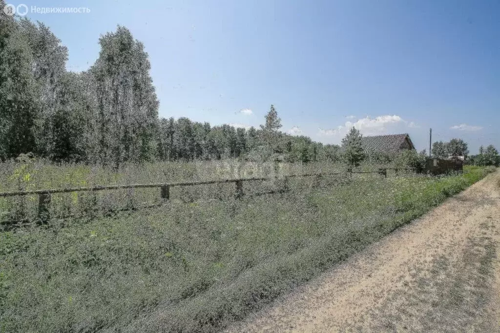 Участок в Тюменская область, Нижнетавдинский муниципальный округ, ... - Фото 1