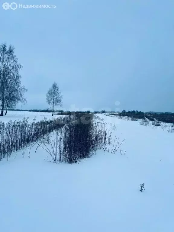 Участок в Калининградская область, Гвардейский муниципальный округ, ... - Фото 2