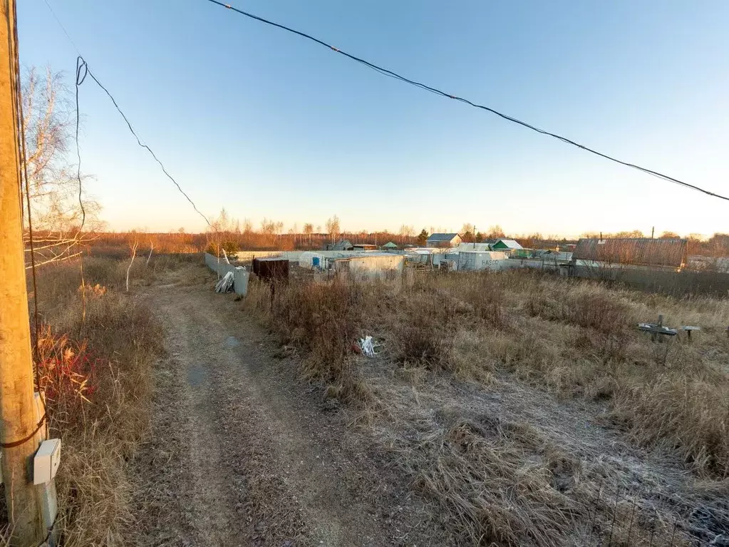 Участок в Тюменская область, Тюмень Садовое товарищество Липовый ... - Фото 1