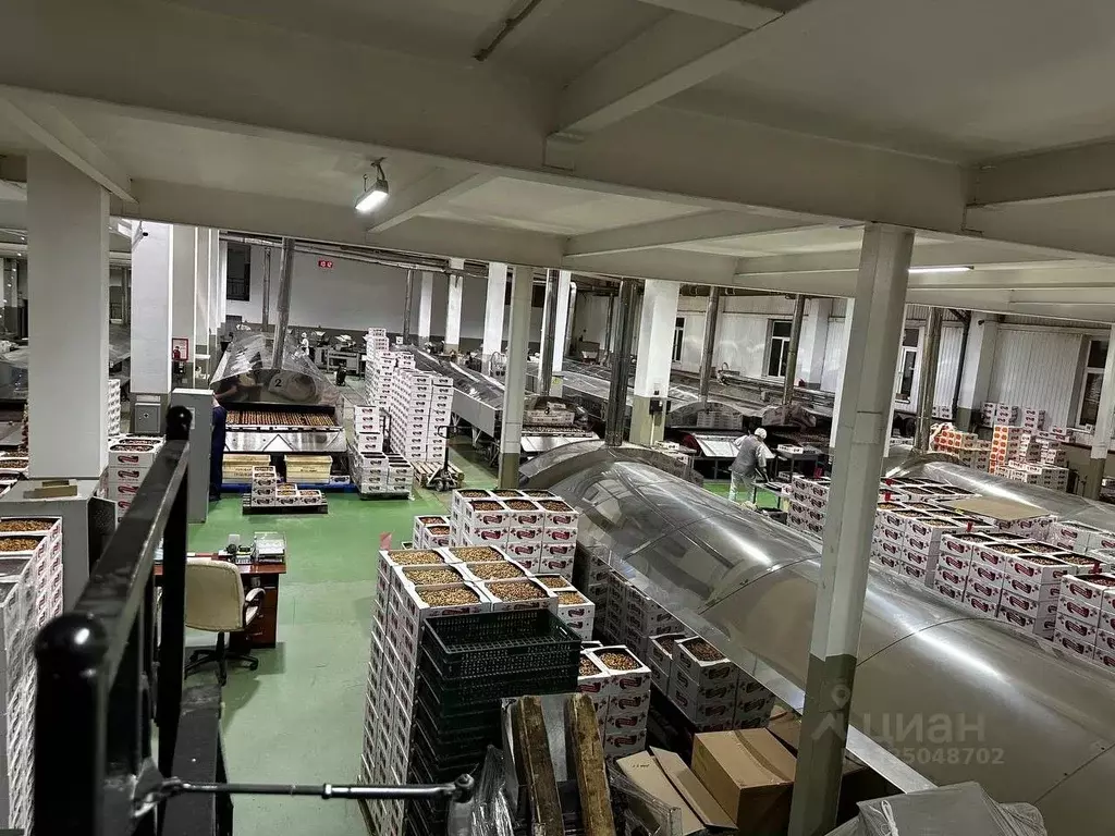 Производственное помещение в Санкт-Петербург дор. Нефтяная, 1 (3500 м) - Фото 2