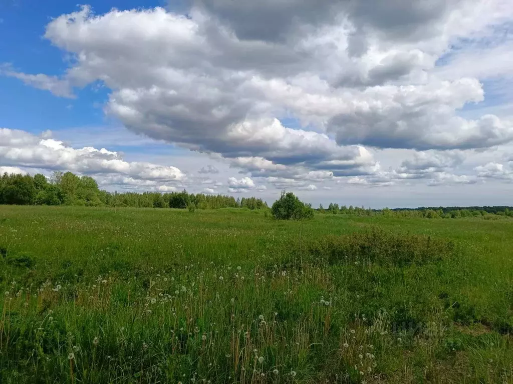 Участок в Новгородская область, Новгородский район, Трубичинское ... - Фото 1