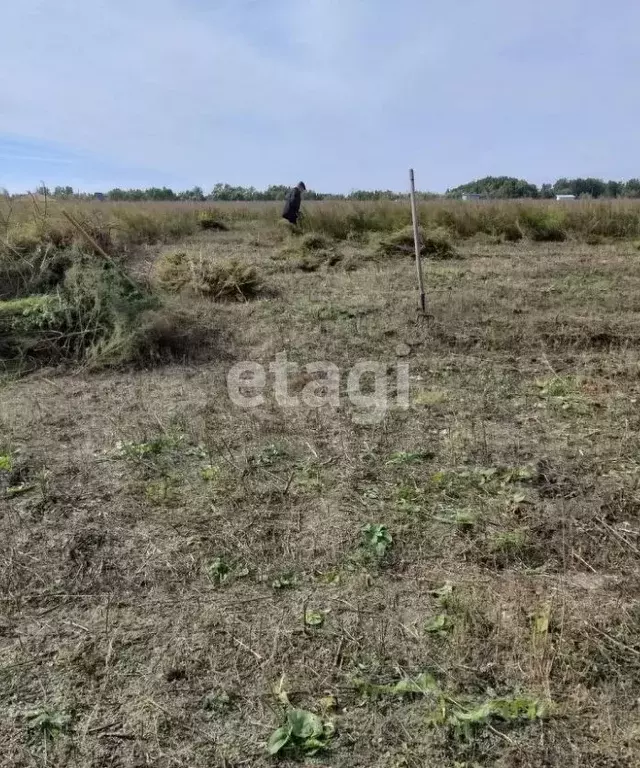 Участок в Новосибирская область, Новосибирский район, Морской ... - Фото 0