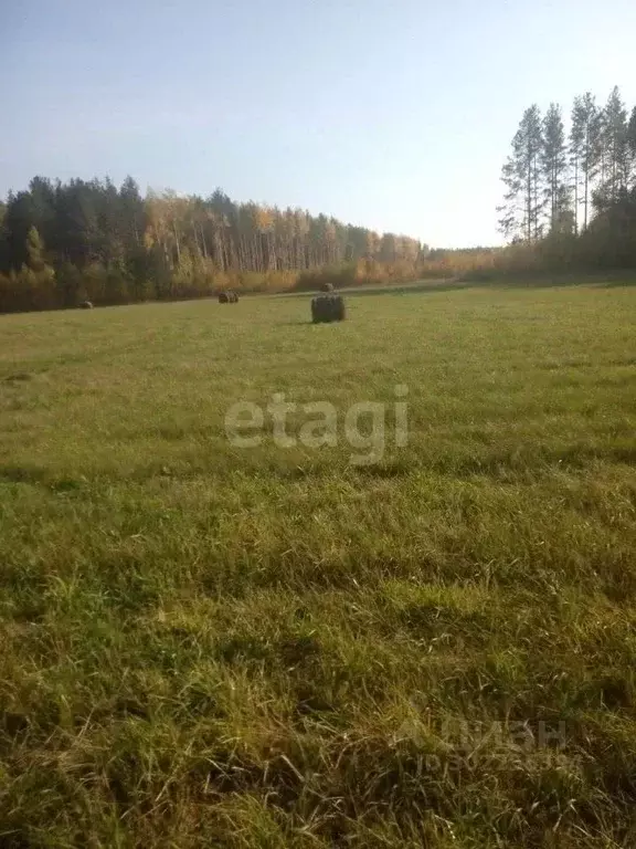 Участок в Свердловская область, Екатеринбург муниципальное ... - Фото 1