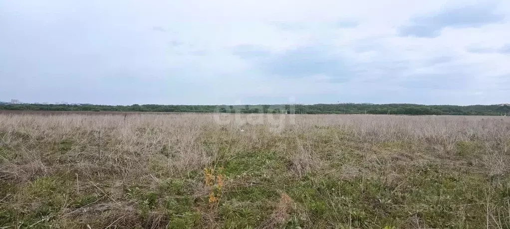 Участок в Воронежская область, Семилукский район, с. Девица, Поречье-2 ... - Фото 1