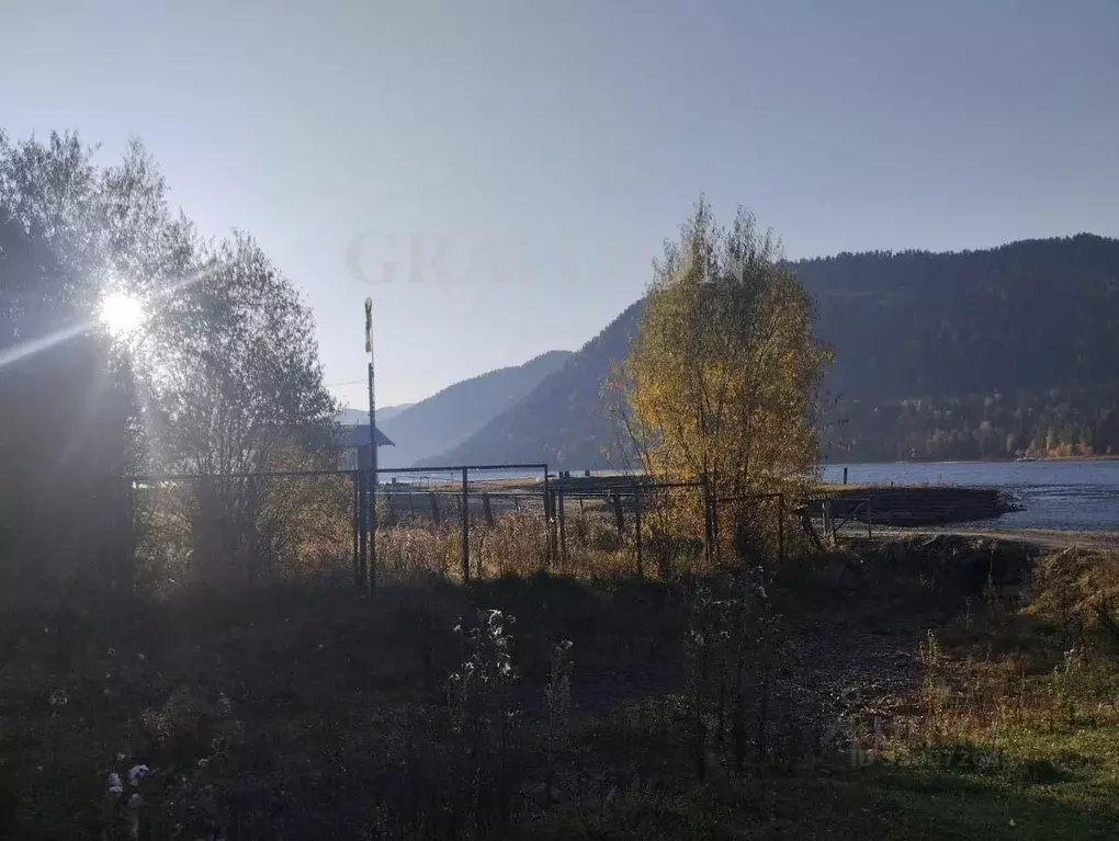 Участок в Алтай, Турочакский район, с. Артыбаш Телецкая ул. (2.44 ... - Фото 1