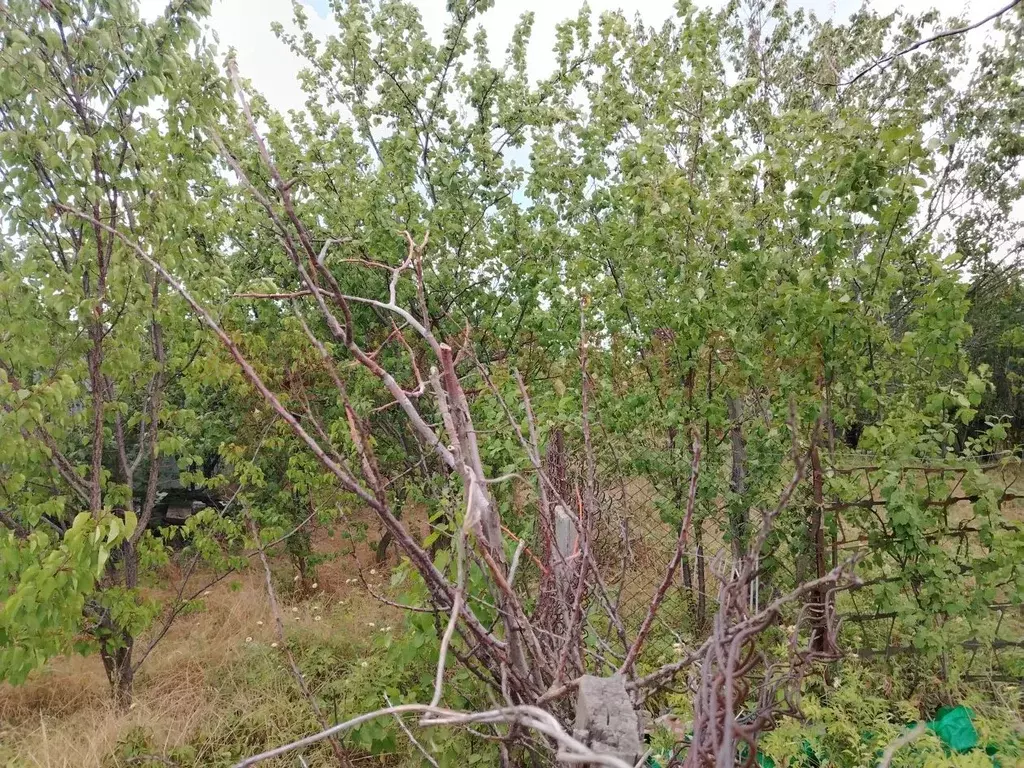Участок в Ростовская область, Новочеркасск ул. Нарядная (6.51 сот.) - Фото 0