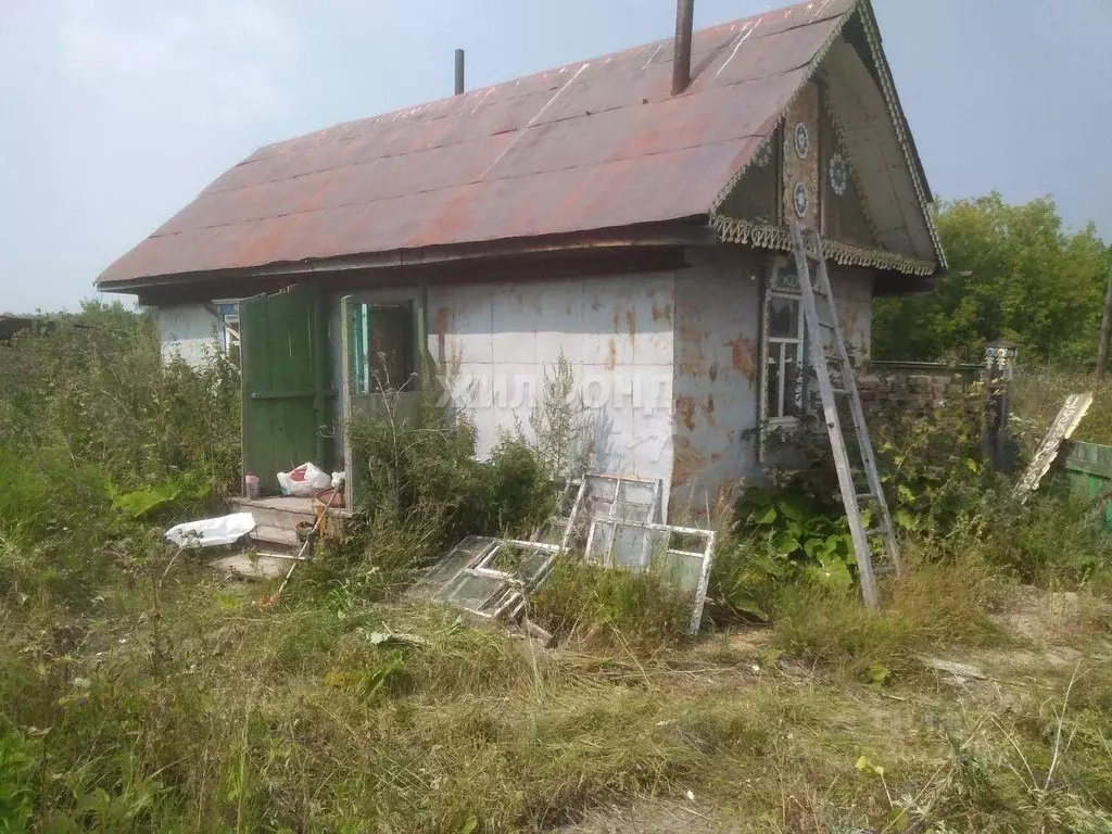 Участок в Новосибирская область, Мошковский район, с. Томилово ... - Фото 1