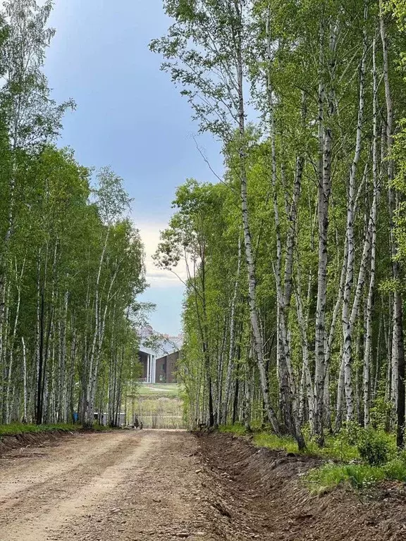 Участок в Иркутская область, Иркутский муниципальный округ, пос. Новая ... - Фото 0