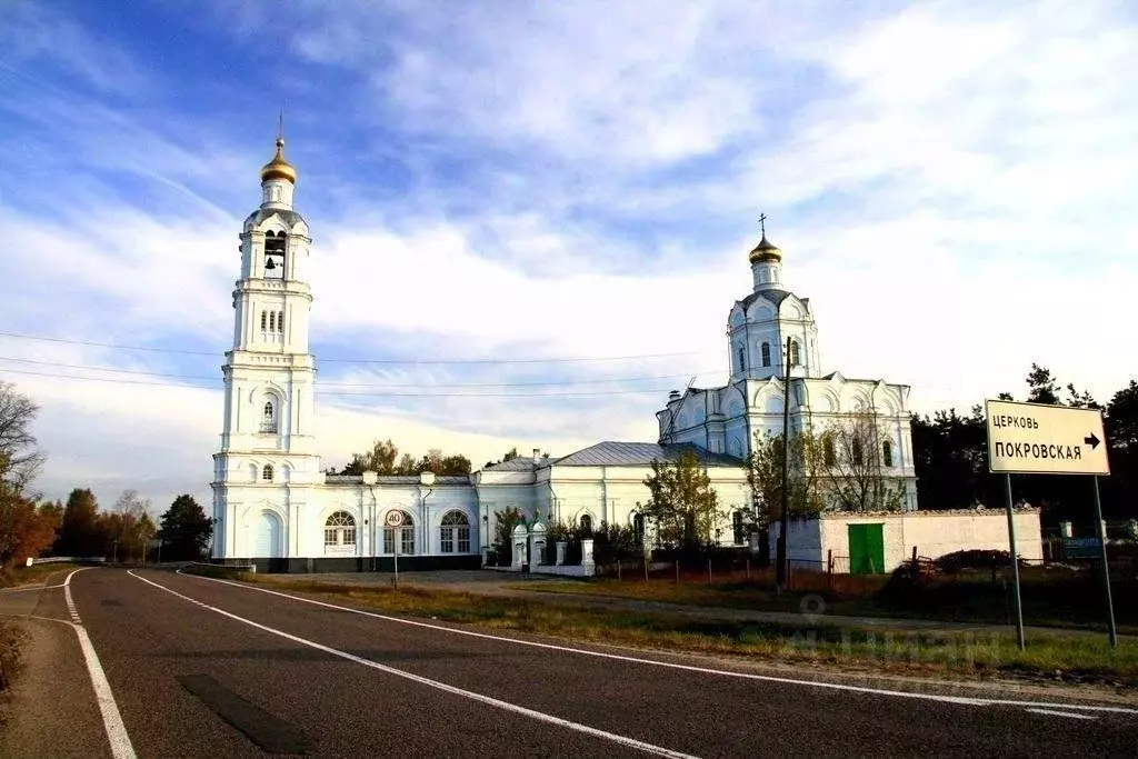 Участок в Московская область, Шатура муниципальный округ, с. Власово ... - Фото 0