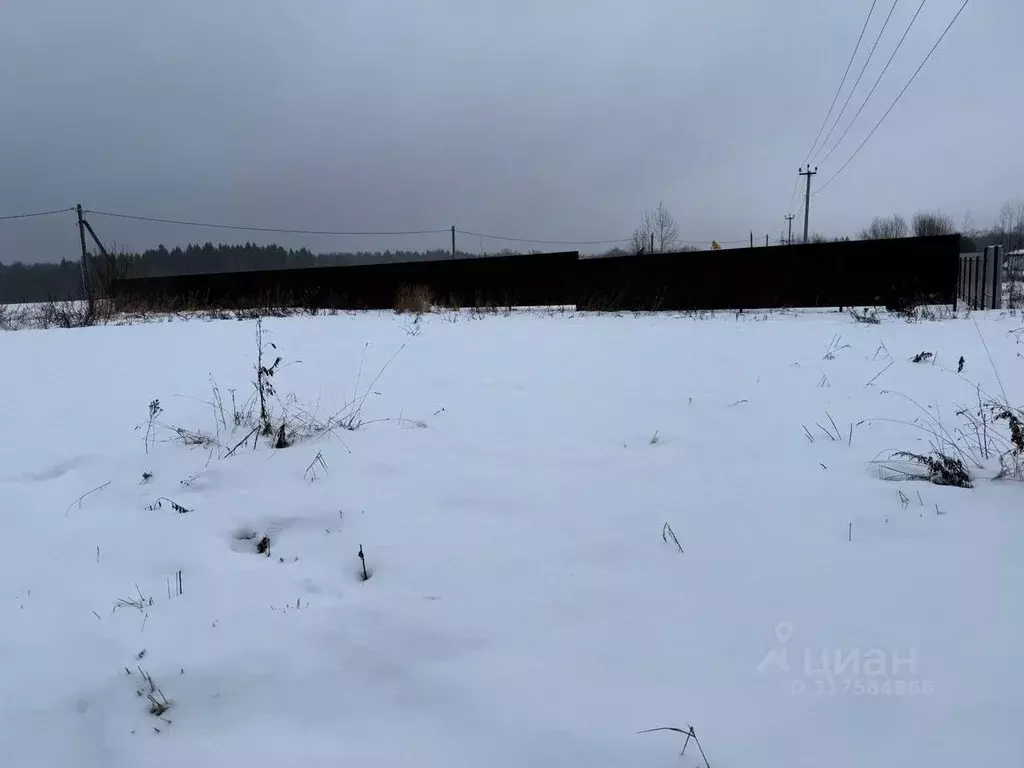 Участок в Московская область, Пушкинский городской округ, д. Никулино  ... - Фото 0