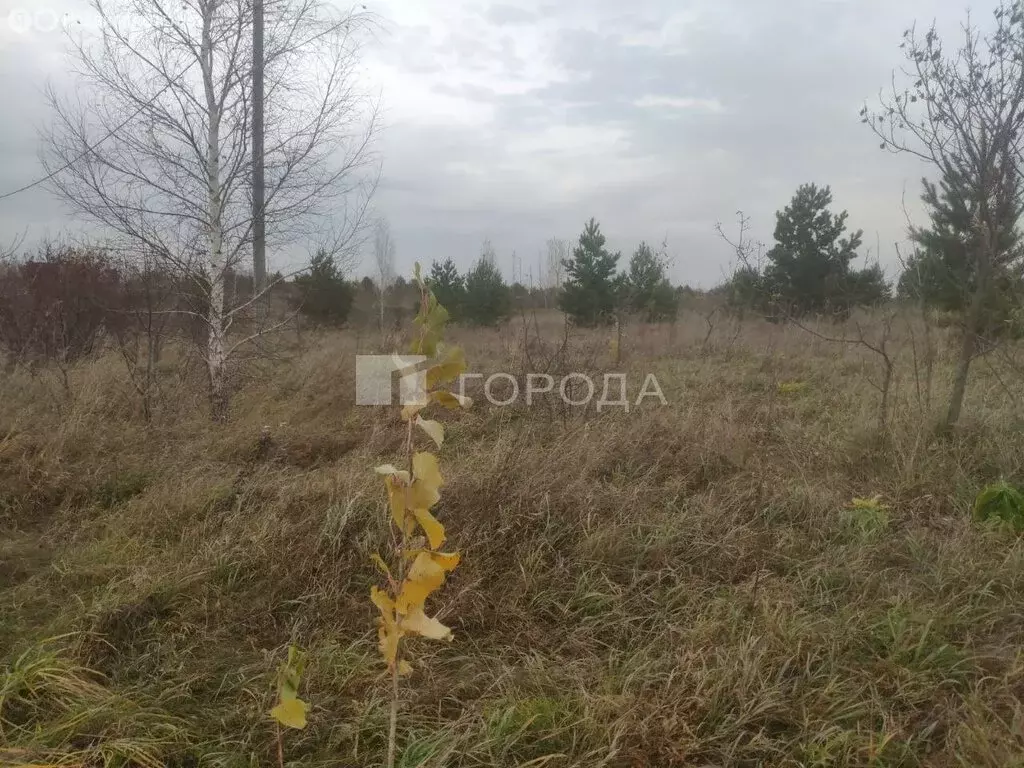 Участок в Первомайский район, посёлок Новый, Берёзовская улица, 14 (12 ... - Фото 1