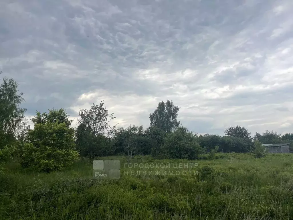 Участок в Московская область, Одинцовский городской округ, д. Бузаево ... - Фото 1