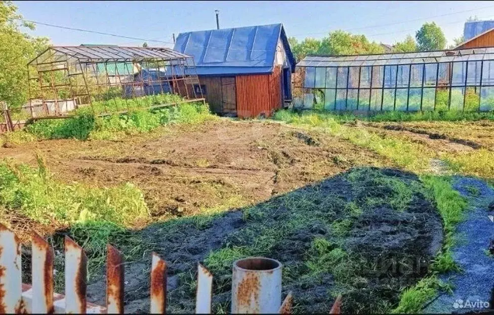 Дом в Тюменская область, Тюмень Строитель-3 СНТ, ул. Рябиновая (30 м) - Фото 1