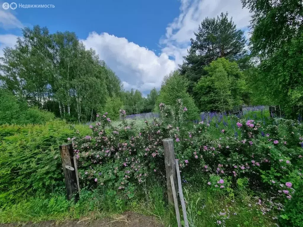 Дом в посёлок Новый Быт, Красновосходская улица (57 м) - Фото 1