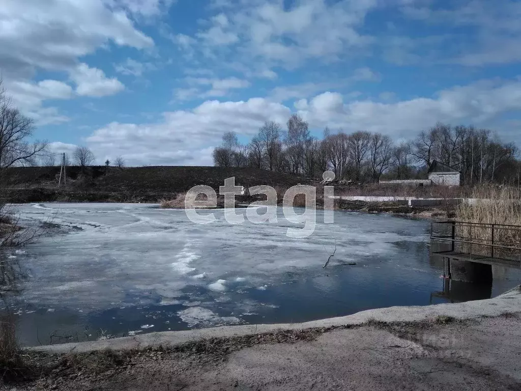 Помещение свободного назначения в Брянская область, Брянский район, ... - Фото 0