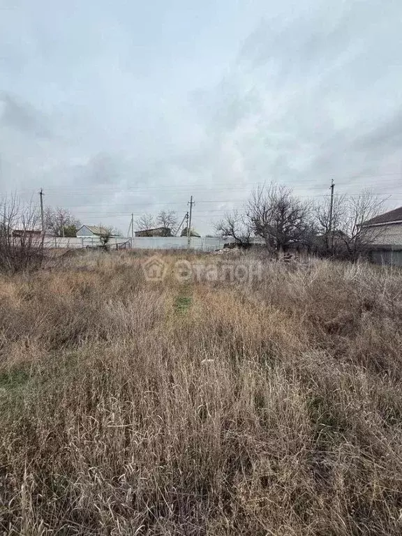 Участок в Волгоградская область, Среднеахтубинский район, Куйбышевское ... - Фото 1