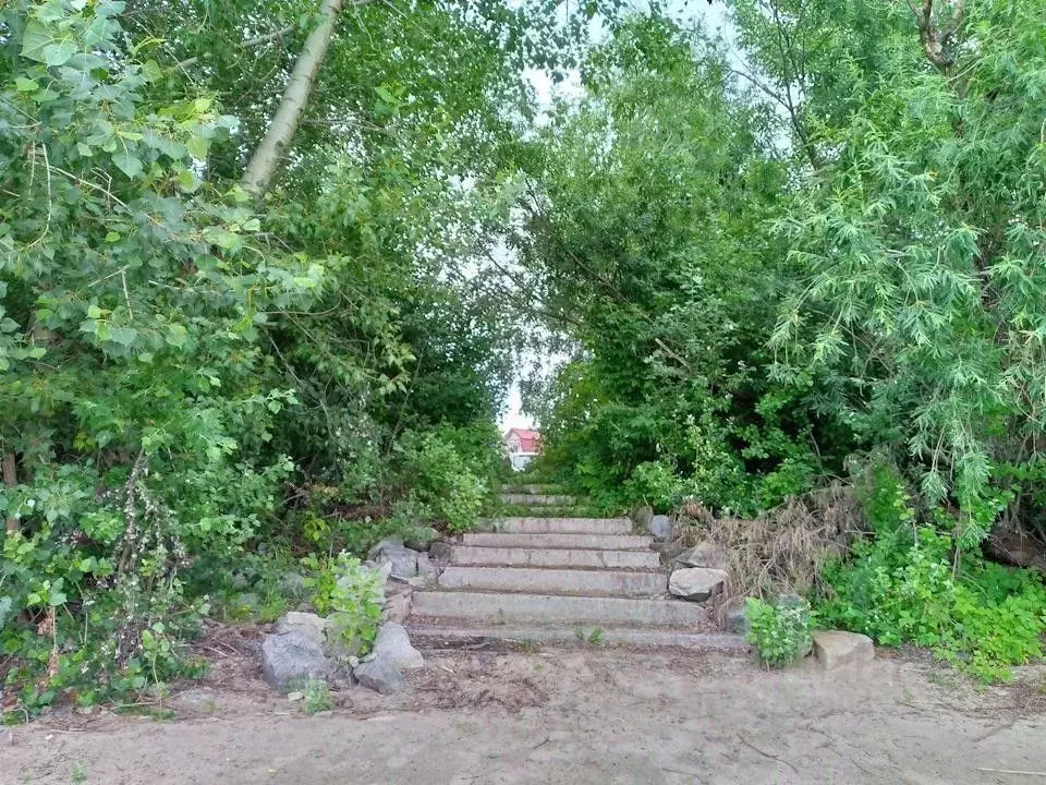 Участок в Новосибирская область, Новосибирск Волна СНТ, пер. 6-й ... - Фото 2