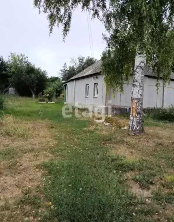 Дом в Белгородская область, Вейделевский район, Николаевское с/пос, с. ... - Фото 0