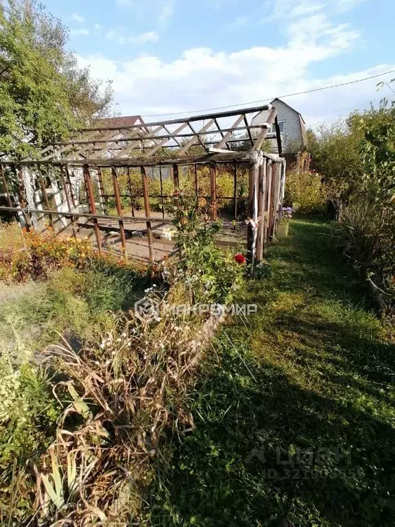 Участок в Брянская область, Брянский район, Новодарковичское с/пос, ... - Фото 2