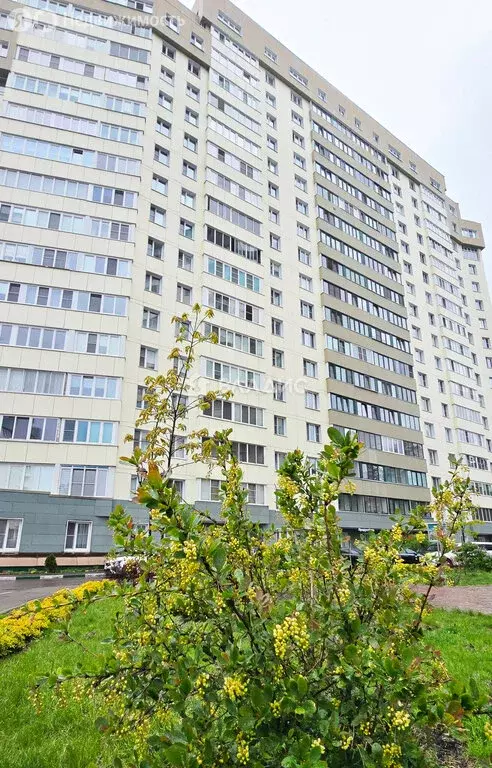 1-комнатная квартира: Жуковский, улица Амет-хан Султана, 15к4 (64.4 м) - Фото 0