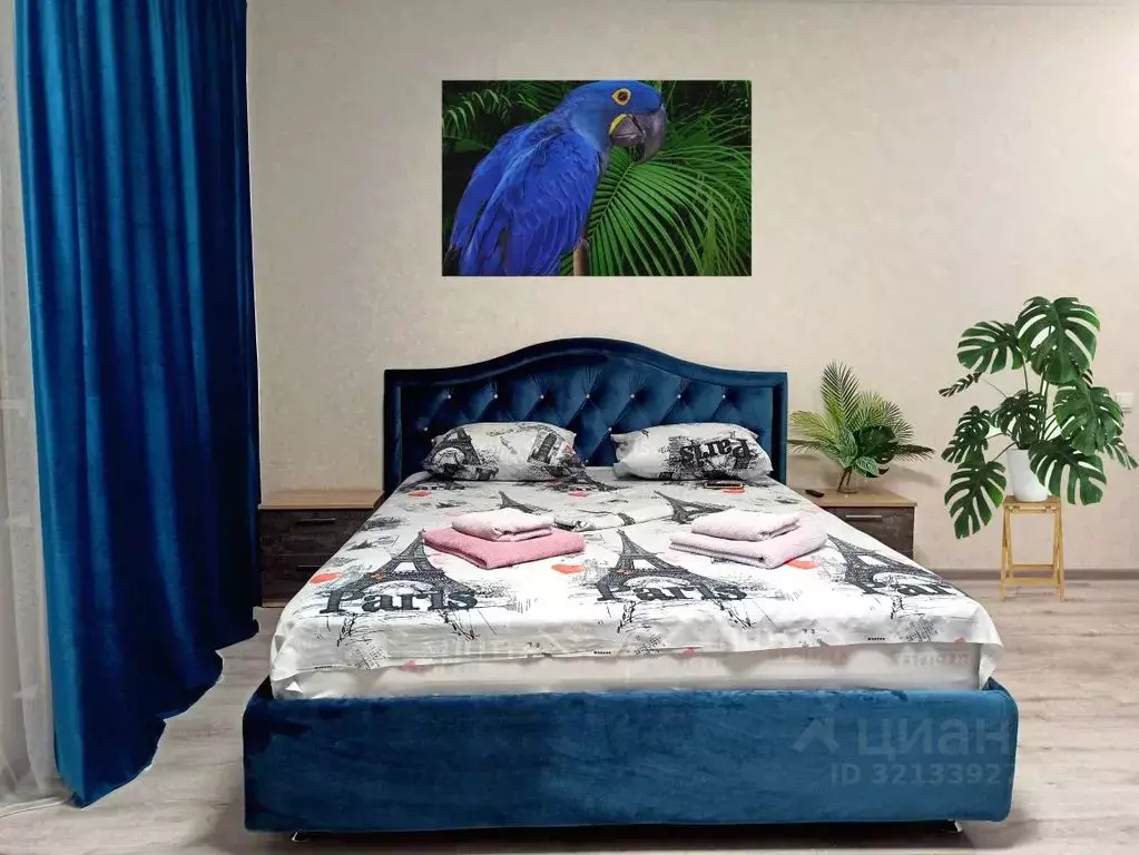 Студия Крым, Симферополь просп. Победы, 189 (28.0 м) - Фото 1