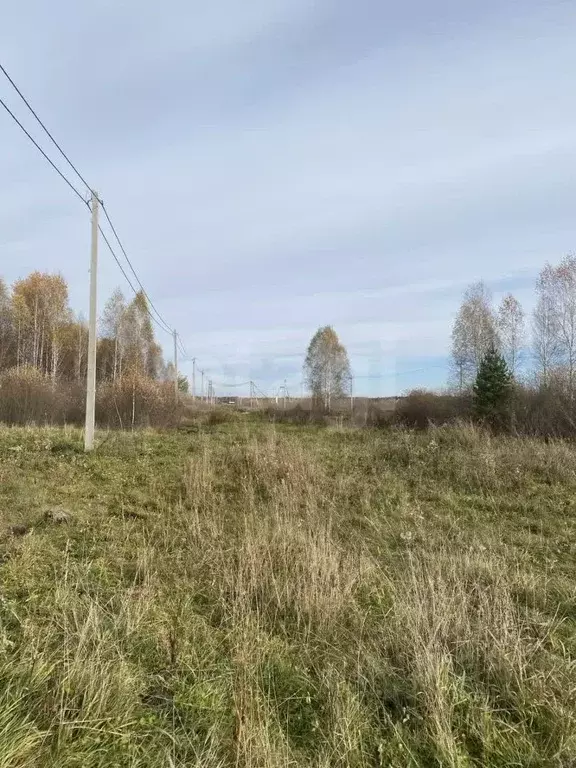 Участок в Свердловская область, Слободо-Туринский район, ... - Фото 0