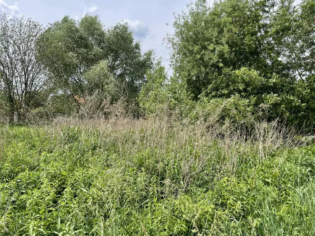 Продается участок в г. Раменское - Фото 2